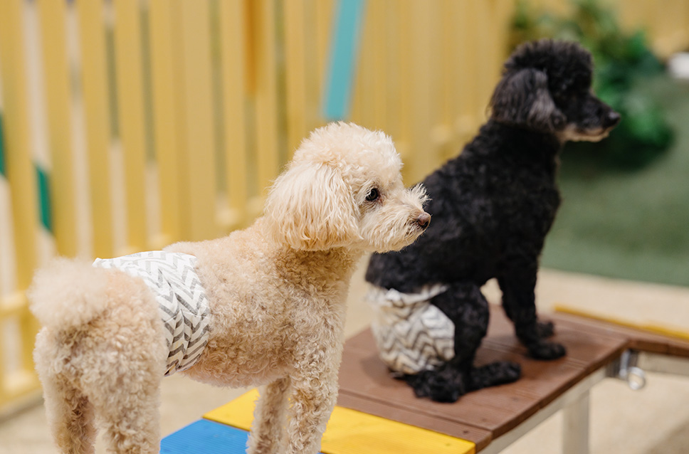 스페셜 오퍼 이벤트 이미지