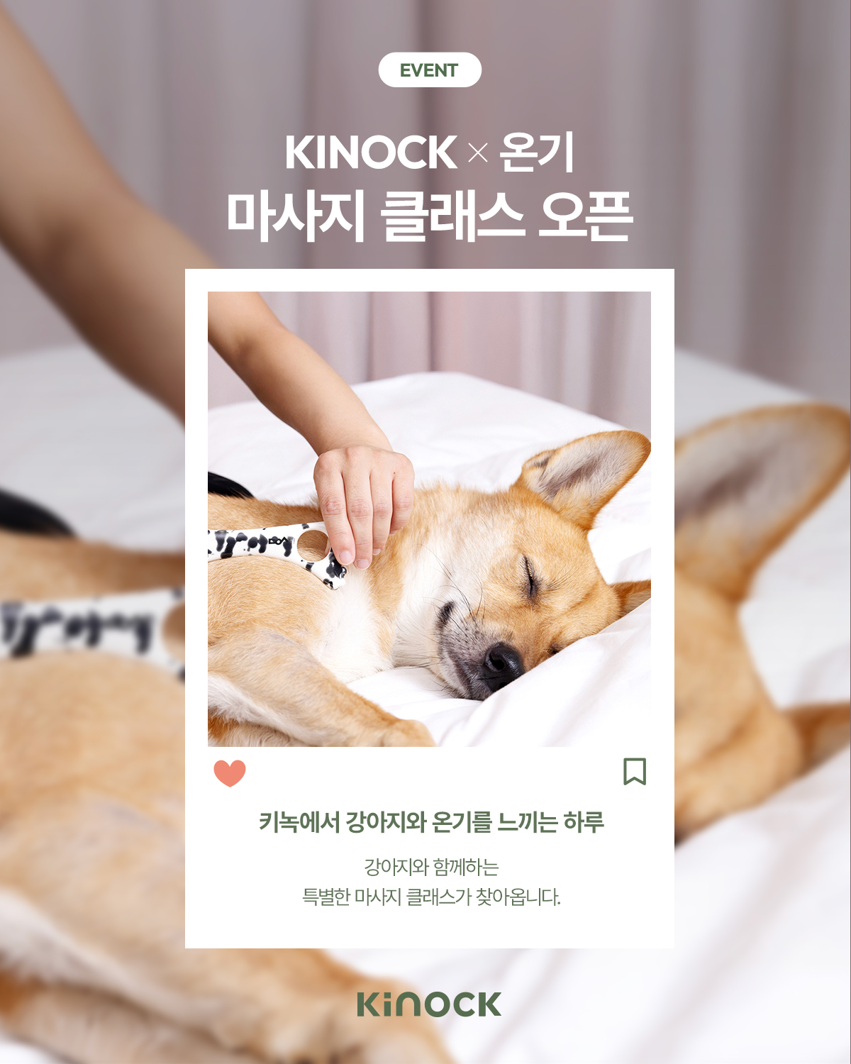 혜택이미지