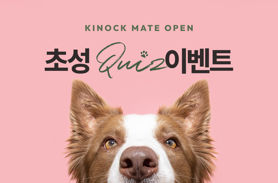 스페셜 오퍼 이벤트 이미지