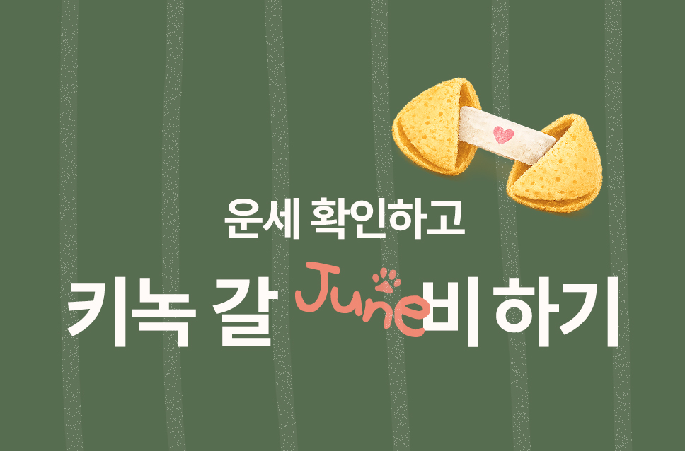 스페셜 오퍼 이벤트 이미지