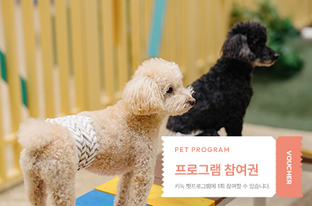 혜택이미지
