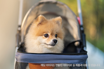 혜택이미지